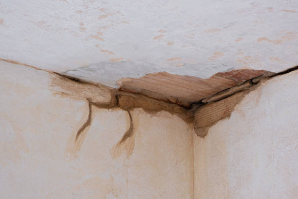 Best Water damage contractors near me  in Humboldt, KS