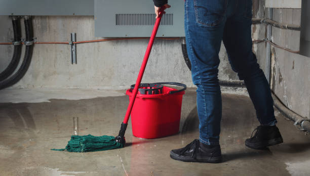 Best 24-hour water damage restoration  in Humboldt, KS