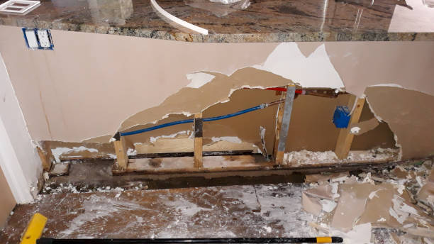 Best Mold removal after water damage  in Humboldt, KS