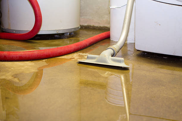 Best Sewage cleanup and water damage restoration  in Humboldt, KS