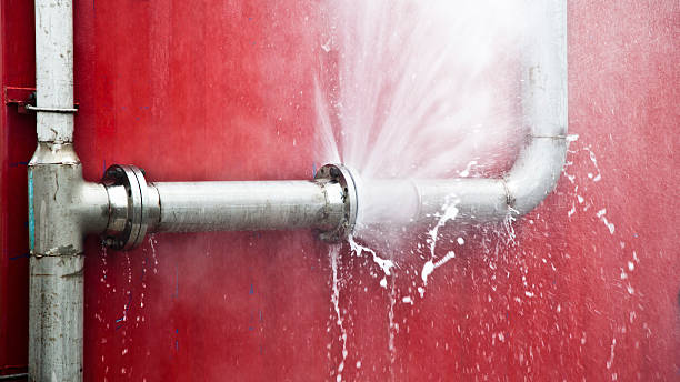 Best Professional water damage repair  in Humboldt, KS