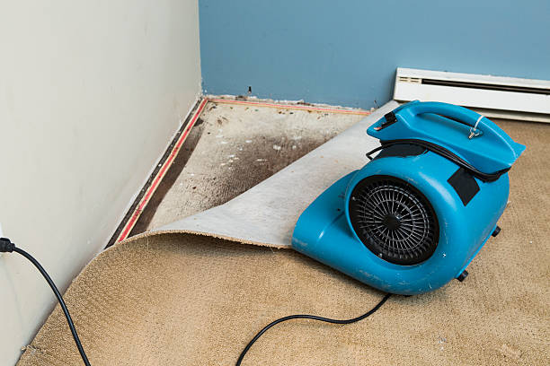 Best 24/7 water damage repair  in Humboldt, KS